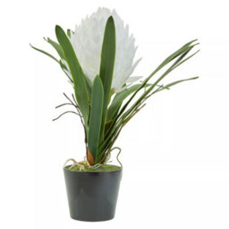 Orsina Fiori White Tropical Plant Artificial Plant Foliage - thumbnail 3