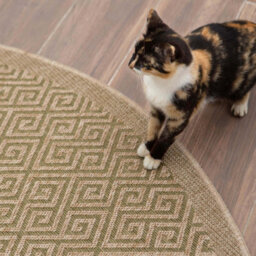 The Rugs Nature Collection Outdoor Rug In Green 5100G - thumbnail 5