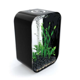 Oase Biorb Life 60L Aquarium Fish Tank In Black With Multi Colour Led Lighting - thumbnail 3