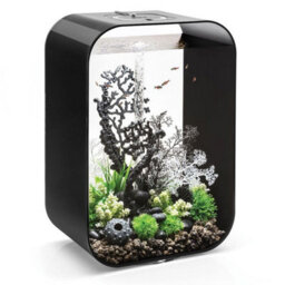 Oase Biorb Life 60L Aquarium Fish Tank In Black With Multi Colour Led Lighting - thumbnail 2