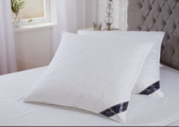 "Littens 80Cm X 80Cm Square Euro Continental Duck Feather & Down Pillow Pair (32"" X 32"")" - thumbnail 2