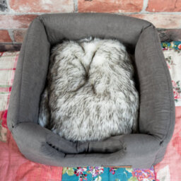 All Pond Solutions All Pet Solutions 3-In-1 Dog / Cat Cube Bed - Grey - thumbnail 8
