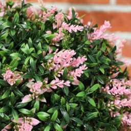 Homcom Set Of 2 Artificial Plant Topiary Balls, Faux Plants, Pink - thumbnail 9