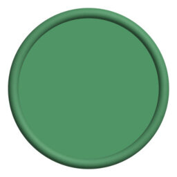 Mylands Ftt-011 Cso Green Marble Matt Emulsion, 1L - thumbnail 3