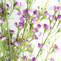 Leaf Pack Of 6 X 100Cm Artificial Foliage Stem With Small Flowers - Purple - thumbnail 2