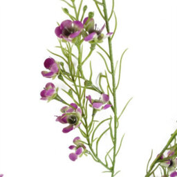 Leaf Pack Of 6 X 100Cm Artificial Foliage Stem With Small Flowers - Purple - thumbnail 5