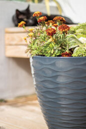 Plant Avenue Lightweight Recycled Plastic Garden Pot Planter With Drainage Holes Uv Resistant & Frostproof Windermere Charcoal 38Cm 90401Ch - thumbnail 6