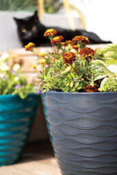 Plant Avenue Lightweight Recycled Plastic Garden Pot Planter With Drainage Holes Uv Resistant & Frostproof Windermere Charcoal 38Cm 90401Ch - thumbnail 5