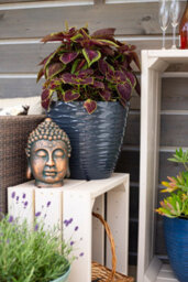 Plant Avenue Lightweight Recycled Plastic Garden Pot Planter With Drainage Holes Uv Resistant & Frostproof Windermere Charcoal 38Cm 90401Ch - thumbnail 4