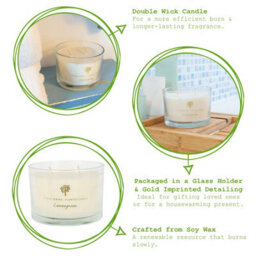 Nicola Spring Lemongrass Scented Candle - 350G 38H Natural Double Wick Soy Wax Aromatherapy Candle Home Fragrance - thumbnail 2