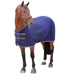 Tempest Original Quilted Horse Cooler Rug Ink (78In) - thumbnail 1