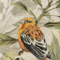 Wylder Kielder Forest Swinley Printed Feather Rich Cushion - thumbnail 4