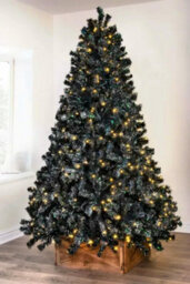 Christmas Tree World The 7Ft/210Cm Pre-Lit Black Iridescence Pine Tree With Warm White Lights