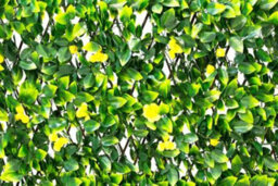 Primrose Extendable Artificial Flower Outdoor Screening Trellis (Yellow) 1M X 2M - thumbnail 3