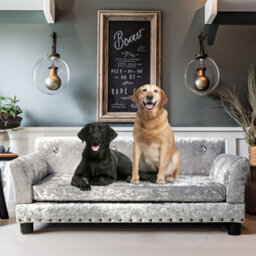 Bingopaw Xl Velvet Tufted Dog Sofa Bed Pet Elevated Bed For Curler Stretcher Leaner Dogs,120X74X40Cm - thumbnail 1