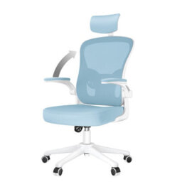Onemill Office Desk Chair With Flip-Up Armrest, Adjustable Headrest And Lumbar Support Or Home And Office-Blue