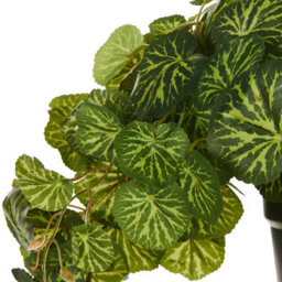 Wyld And Coco Charmi 37Cm Green Artificial Hanging Plant With Cement Base, Realistic Cascading Foliage - thumbnail 4