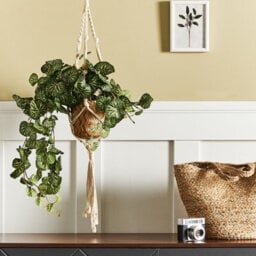 Wyld And Coco Charmi 37Cm Green Artificial Hanging Plant With Cement Base, Realistic Cascading Foliage - thumbnail 2
