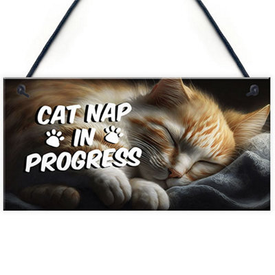 Red Ocean Novelty Cat Signs For Home Cat Nap In Progress Funny Cat Signs For Cat Lovers Cat Gifts Cat House Sign Friendship - image 1
