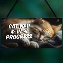 Red Ocean Novelty Cat Signs For Home Cat Nap In Progress Funny Cat Signs For Cat Lovers Cat Gifts Cat House Sign Friendship - thumbnail 5
