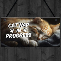 Red Ocean Novelty Cat Signs For Home Cat Nap In Progress Funny Cat Signs For Cat Lovers Cat Gifts Cat House Sign Friendship - thumbnail 4