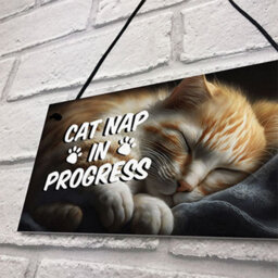 Red Ocean Novelty Cat Signs For Home Cat Nap In Progress Funny Cat Signs For Cat Lovers Cat Gifts Cat House Sign Friendship - thumbnail 7