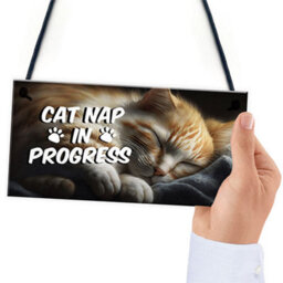 Red Ocean Novelty Cat Signs For Home Cat Nap In Progress Funny Cat Signs For Cat Lovers Cat Gifts Cat House Sign Friendship - thumbnail 6