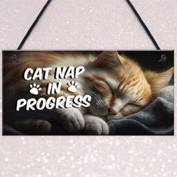 Red Ocean Novelty Cat Signs For Home Cat Nap In Progress Funny Cat Signs For Cat Lovers Cat Gifts Cat House Sign Friendship - thumbnail 3