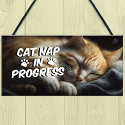 Red Ocean Novelty Cat Signs For Home Cat Nap In Progress Funny Cat Signs For Cat Lovers Cat Gifts Cat House Sign Friendship - thumbnail 2