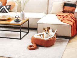 Beliani  Pet Bed Hassa Velvet Orange - thumbnail 2