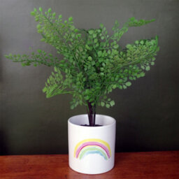 Leaf Ceramic Rainbow Planter Plant Pot - thumbnail 2