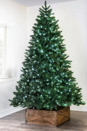 Christmas Tree World The 5Ft/150Cm Ultra Devonshire Fir Pre-Lit With Warm White/white Colour Change Leds - thumbnail 6