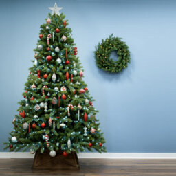 Christmas Tree World The 5Ft/150Cm Ultra Devonshire Fir Pre-Lit With Warm White/white Colour Change Leds - thumbnail 2