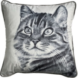 Aspect Furniture Tabby Cat Print Pillow/velvet Cushion,black/white. 45X45Cm - thumbnail 2
