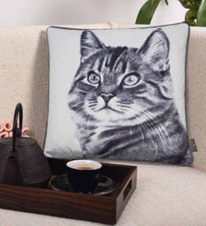 Aspect Furniture Tabby Cat Print Pillow/velvet Cushion,black/white. 45X45Cm