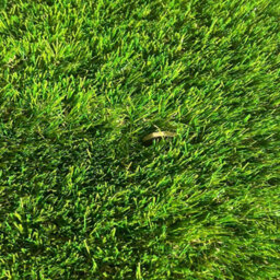 "Oakmount 38mm Artificial Grass, Pet-Friendly Fake Grass, Non- Slip Artificial Grass For Patio, Decks-6M(19'8"") X 4M(13'1"")-24M²" - thumbnail 6