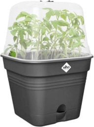Elho Green Basics Square All  In 1 Recycled Plastic Growpot 30Cm Living Black - thumbnail 3