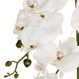 Beliani Artificial Plant Orchid 65 Cm White - thumbnail 4