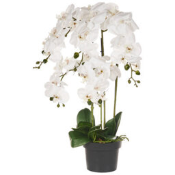 Beliani Artificial Plant Orchid 65 Cm White - thumbnail 1