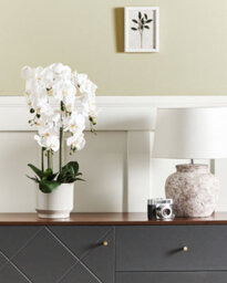 Beliani Artificial Plant Orchid 65 Cm White - thumbnail 2