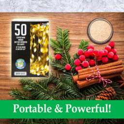 Indoor Copper Wire Lights- Warm White- Christmas Lights (50) - thumbnail 2