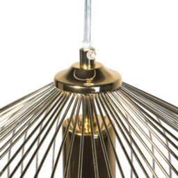 Wyld and Coco Aurora Gold 1-Light Pendant - Open-Work Gold Cage, Industrial Dining And Living Room Lighting - thumbnail 5