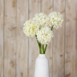Wyld Haus Set Of 3 Cream Medium Allium Artificial Flower Stems 800mm - thumbnail 4