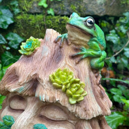 Animal Crackers Frog Toad House Wildlife Shelter, Face In Tree Stump Design With Frog Decoration, Novelty Frog Or Wildlife Lover Gift - thumbnail 3