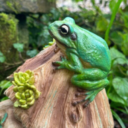 Animal Crackers Frog Toad House Wildlife Shelter, Face In Tree Stump Design With Frog Decoration, Novelty Frog Or Wildlife Lover Gift - thumbnail 4