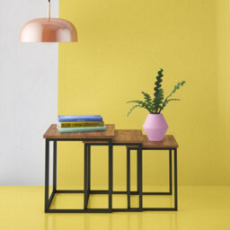 Aspect Furniture Alana Set Of 3 Nesting Tables- Vintage Finish Tops/steel Black Legs - thumbnail 3