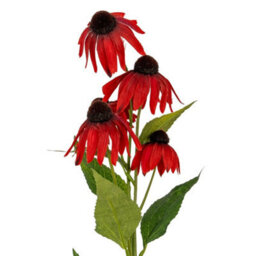 Hill Interiors Red Echinacea Spray Artificial Flower - Plastic - L23 X W13 X H75 Cm - Red - thumbnail 2