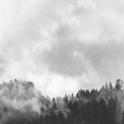 Splashwall Matt Black & White Misty Woods Acrylic Splashback, (H)600mm (W)2440mm (T)4mm - image 1