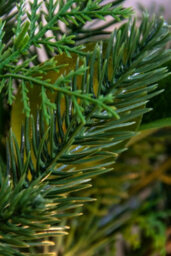 Christmas Tree World 180Cm Pre-Lit Decorated Pe Pine Garland With White Berries - thumbnail 6