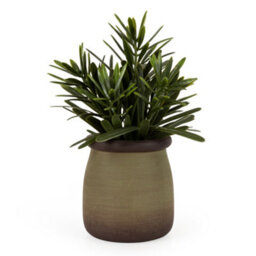 Candlelight Green 17Cm Rosemary Artificial Plant In Green Ceramic Pot